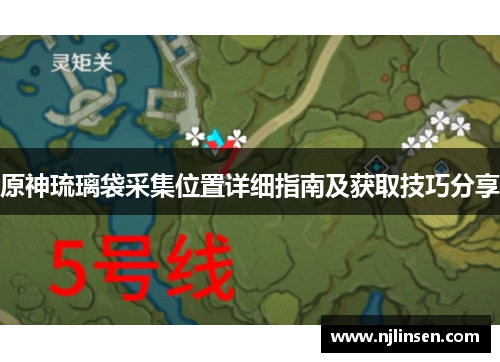 原神琉璃袋采集位置详细指南及获取技巧分享
